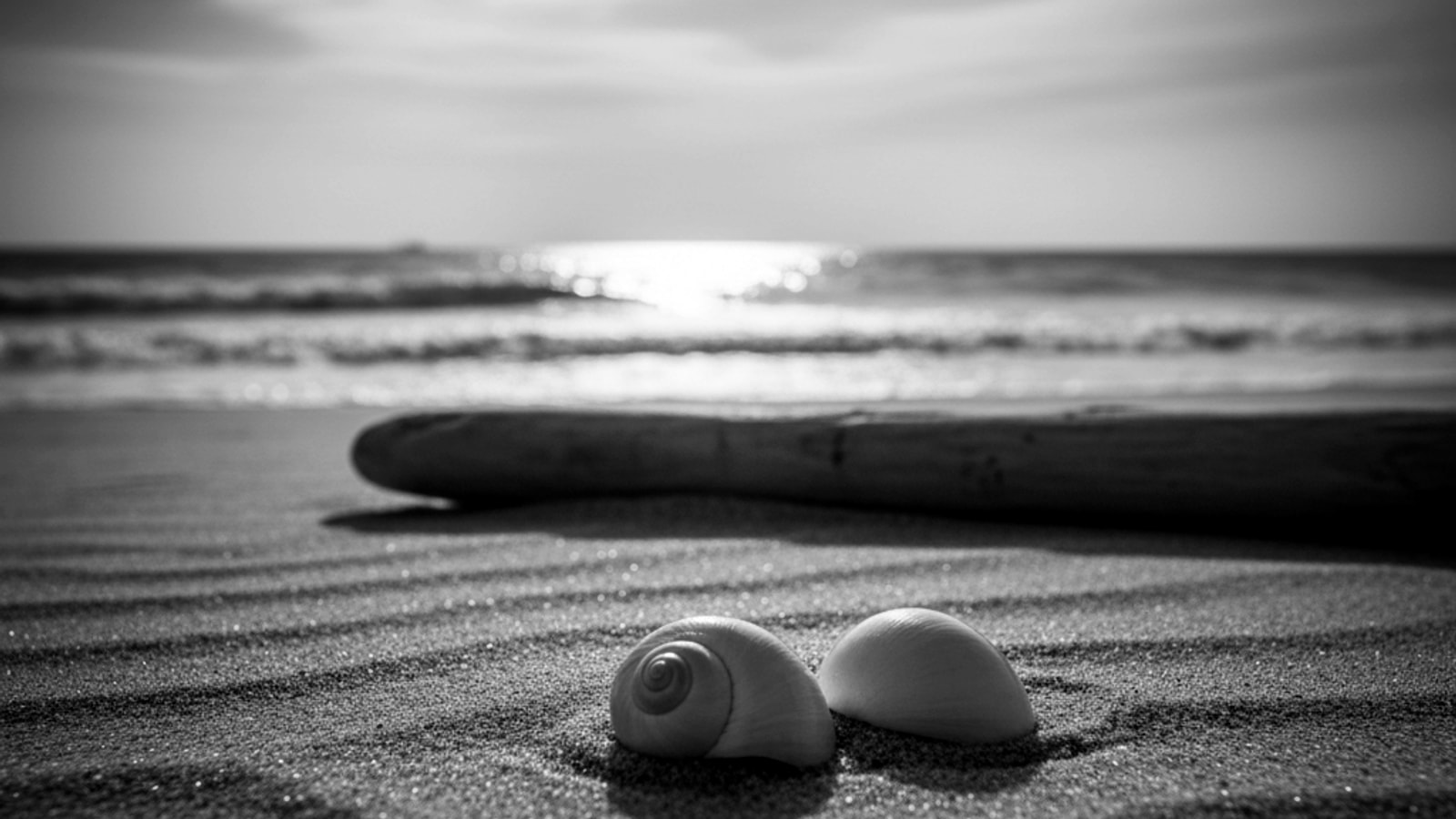 Spánek u moře: Proč na pláži spíme lépe?